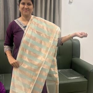 Banarasi Kora Saree